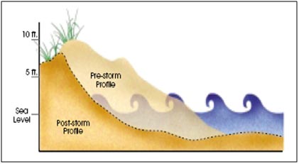 Storm Profile