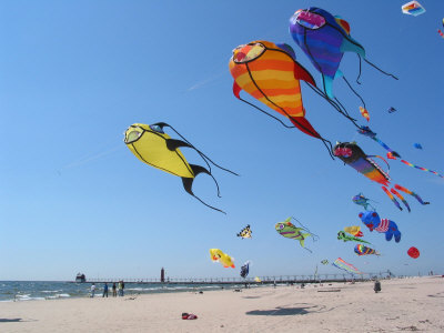 kites