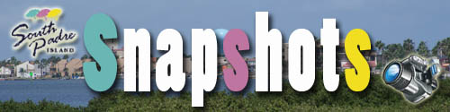 Snapshots Web Banner