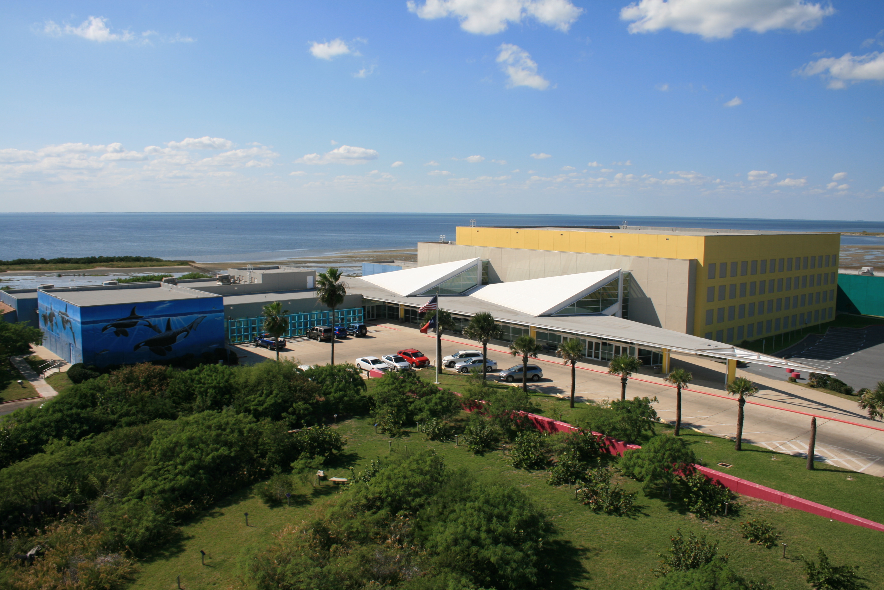 Document Center / City of South Padre Island Bid Notice / South Padre