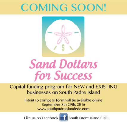 Sand Dollars for Success