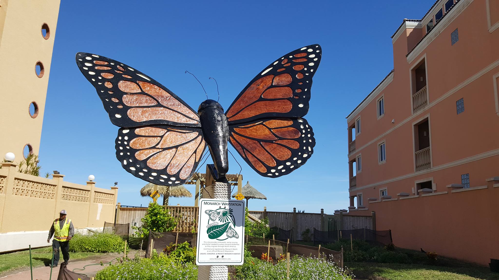 Butterfly Park